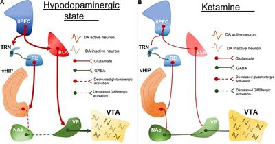 Using animal models for the studies of schizophrenia and depression: The value of translational models for treatment and prevention